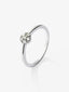 Anillo de oro blanco de 18K con roseta de 6 diamantes en talla brillante con un total de 0,17 cts