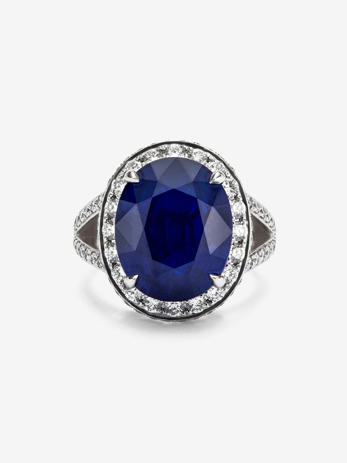 Anillo de oro blanco de 18K con zafiro azul royal en talla oval de 12,64 cts y orla y brazo de 93 diamantes con un total de 1,74 cts