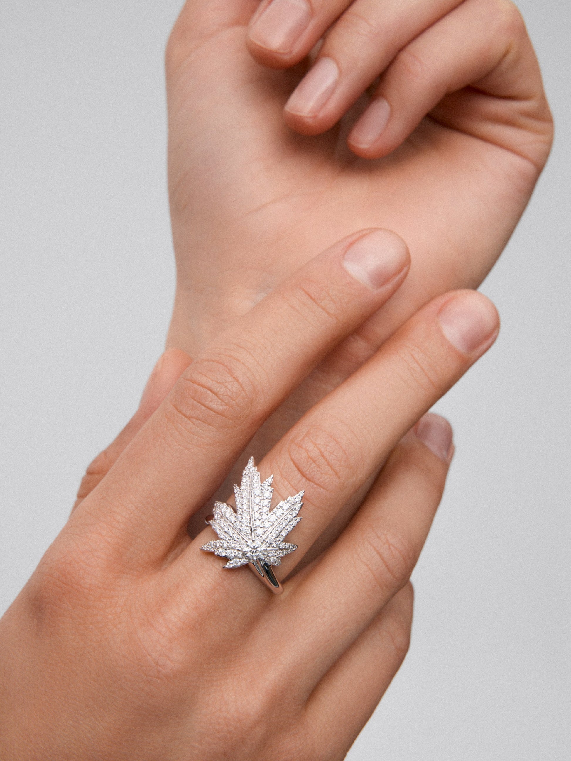 Anillo de oro blanco de 18K con diamante central en talla brillante de 0,16 cts, pavé de diamantes y forma de hoja de arce